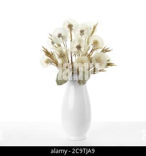 Bouquet von getrockneten Löwenzahn steht in einer weißen Vase auf weißem Hintergrund. Stockfoto