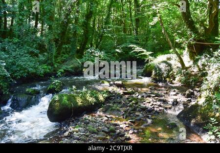 Luxulyan Valley 300720 Stockfoto