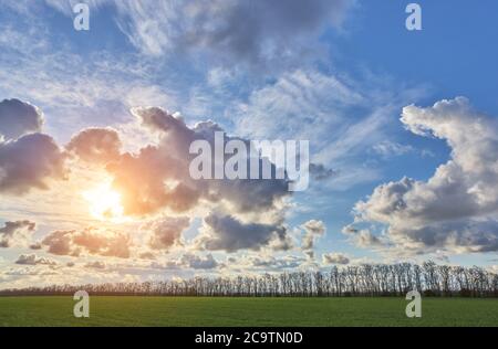 Grünes Feld vor dem Hintergrund eines schönen bewölkten Himmels bei Sonnenuntergang als Hintergrund. Stockfoto