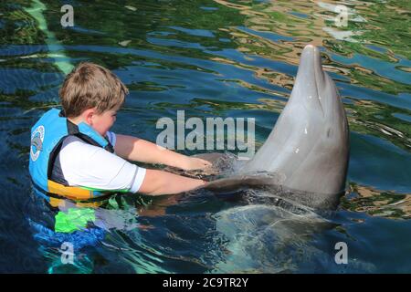 WEISSER JUNGE IM ALTER VON 10 JAHREN BEIM SCHWIMMEN MIT EINEM DELFIN IN MEXIKO Stockfoto