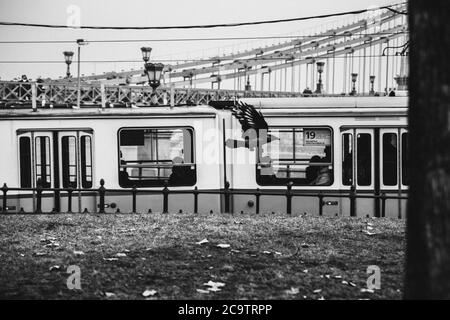 Alte Straßenbahn am Donauufer in Budapest, Ungarn. Krähe fliegt in der Nähe der Straßenbahn, Liberty Bridge im Hintergrund. Schwarz und Weiß Stockfoto