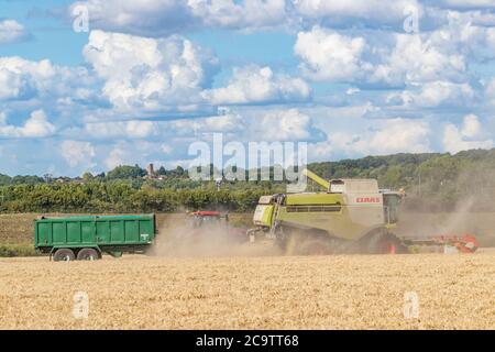 Northampton, Großbritannien. 2. August 2020.Claas LEXION 670-620 Gerstenernte auf einem Feld vor der Bugbrooke Road, südlich von Northampton an einem warmen sonnigen Abend mit viel Staub in der Luft aus dem trockenen Boden, Northampton, England, Großbritannien. Kredit: Keith J Smith/Alamy Live Nachrichten Stockfoto