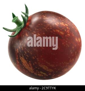 Dunkle Galaxie Erbstück Tomate, anthocyan-reichen bicolor, isoliert Stockfoto