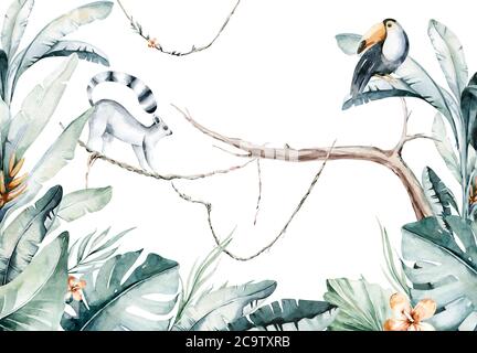 Aquarell Dschungel Illustration eines Lemur und Tukan auf weißem Hintergrund. Madagaskar Fauna Zoo exotische Lemuren Tier. Poster im tropischen Design Stockfoto