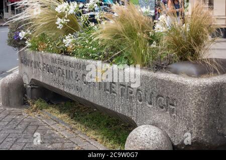 WIMBLEDON, LONDON/UK - 1. AUGUST: Alte Trinkbrunnen und Viehtränke in Wimbledon London am 1. August 2020. Vier nicht identifizierte Personen Stockfoto