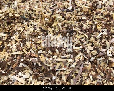 Hintergrund der goldenen Locken von Holzspänen. Stockfoto