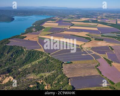 LUFTAUFNAHME. Lavendelfelder auf dem Plateau von Valensole mit Blick auf den Sainte-Croix-See. Moustiers-Sainte-Marie, Provence, Frankreich. Stockfoto