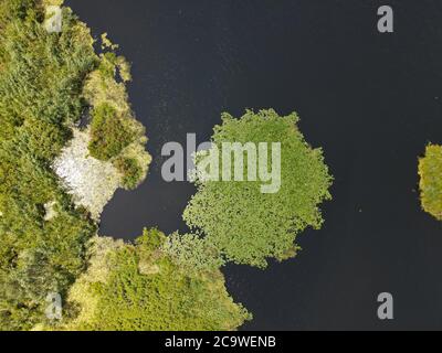Donaudelta in Somova Dorf, Dobrogea Region, Rumänien. Luftaufnahme. Stockfoto