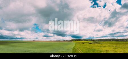 Landschaft Ländliche Landschaft Landschaft Mit Jungen Weizensprossen Im Frühling Sommer Bewölkt Tag. Agrarbereich. Junge Weizen Schießt. Luftaufnahme, Panorama Stockfoto