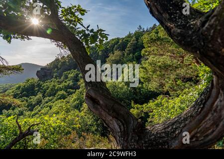 Eugenienstein, Blick auf das Rurtal, Landschaft entlang der roten Sandsteinroute, in der Region Rur-Eifel, bei Nideggen, Kreis Düren, NRW, Deutschland Stockfoto