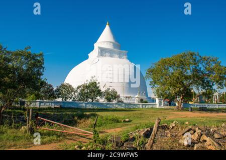 Buddha Tempel in Sri Lanka. Japanische Friedenspagode in Unawatuna. Stockfoto