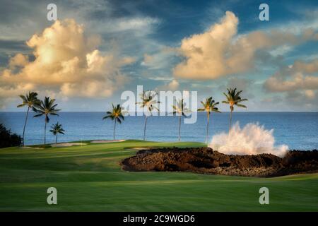 Krachende Wellen, Palmen und Golfplatz. Hilton Waikoloa Beach Golf Resort. Hawaii, Die Große Insel Stockfoto