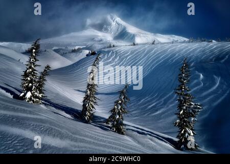 Mt. Haube im Winter mit Lichtung Berg und schneebedeckten Bäumen. Oregon Stockfoto