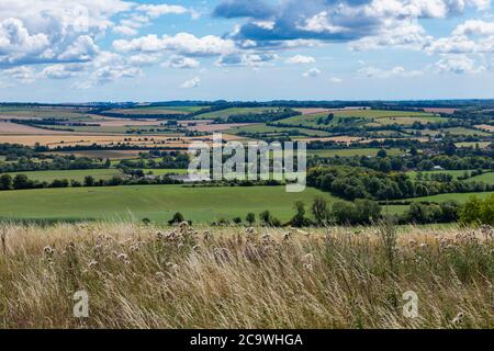 Typischer Bauernhof in der englischen Landschaft. Das Meon Valley in Hampshire an einem klaren Sommertag. Blauer Himmel mit wenig Wolke, um die Aussicht zu verderben. Stockfoto