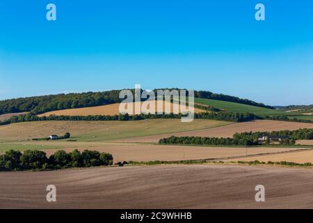 Typischer Bauernhof in der englischen Landschaft. Das Meon Valley in Hampshire an einem klaren Sommertag. Blauer Himmel mit wenig Wolke, um die Aussicht zu verderben. Stockfoto