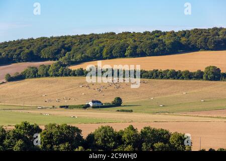 Typischer Bauernhof in der englischen Landschaft. Das Meon Valley in Hampshire an einem klaren Sommertag. Blauer Himmel mit wenig Wolke, um die Aussicht zu verderben. Stockfoto