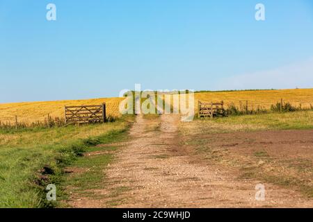 Typischer Bauernhof in der englischen Landschaft. Das Meon Valley in Hampshire an einem klaren Sommertag. Blauer Himmel mit wenig Wolke, um die Aussicht zu verderben. Stockfoto