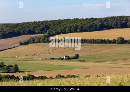 Typischer Bauernhof in der englischen Landschaft. Das Meon Valley in Hampshire an einem klaren Sommertag. Blauer Himmel mit wenig Wolke, um die Aussicht zu verderben. Stockfoto