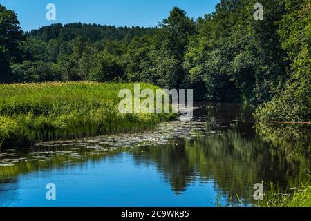 Lemmjogi, Soomaa ("Moorland") Nationalpark in einem Feuchtgebiet in den Landkreisen Parnu und Viljandi, südwestlich von Estland. Stockfoto