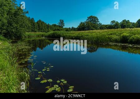 Lemmjogi, Soomaa ("Moorland") Nationalpark in einem Feuchtgebiet in den Landkreisen Parnu und Viljandi, südwestlich von Estland. Stockfoto