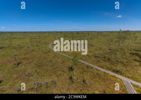 Riisa Bog Soomaa ("Moorland") Nationalpark in einem Feuchtgebiet in den Landkreisen Parnu und Viljandi, südwestlich von Estland. Stockfoto