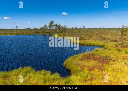 Riisa Bog Soomaa ("Moorland") Nationalpark in einem Feuchtgebiet in den Landkreisen Parnu und Viljandi, südwestlich von Estland. Stockfoto