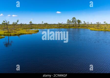 Riisa Bog Soomaa ("Moorland") Nationalpark in einem Feuchtgebiet in den Landkreisen Parnu und Viljandi, südwestlich von Estland. Stockfoto