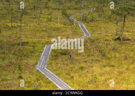 Riisa Bog Soomaa ("Moorland") Nationalpark in einem Feuchtgebiet in den Landkreisen Parnu und Viljandi, südwestlich von Estland. Stockfoto