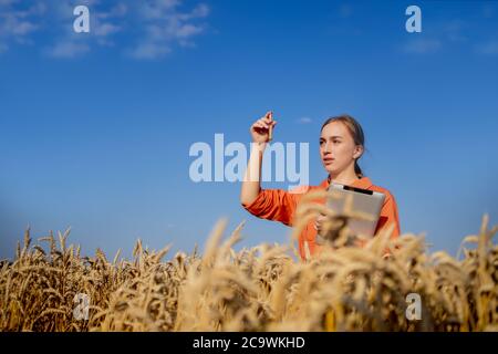 Landwirt erforscht Pflanze im Weizenfeld. In der Hand hält er ein Glasröhrchen mit Testsubstanz mit digitaler Tablette. Smart Farming mit modernen Stockfoto