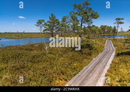 Riisa Bog Soomaa ("Moorland") Nationalpark in einem Feuchtgebiet in den Landkreisen Parnu und Viljandi, südwestlich von Estland. Stockfoto