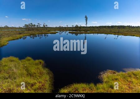 Riisa Bog Soomaa ("Moorland") Nationalpark in einem Feuchtgebiet in den Landkreisen Parnu und Viljandi, südwestlich von Estland. Stockfoto