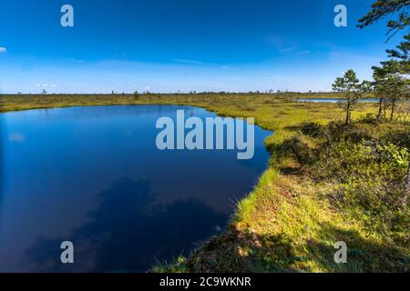 Riisa Bog Soomaa ("Moorland") Nationalpark in einem Feuchtgebiet in den Landkreisen Parnu und Viljandi, südwestlich von Estland. Stockfoto