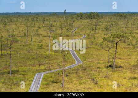 Riisa Bog Soomaa ("Moorland") Nationalpark in einem Feuchtgebiet in den Landkreisen Parnu und Viljandi, südwestlich von Estland. Stockfoto