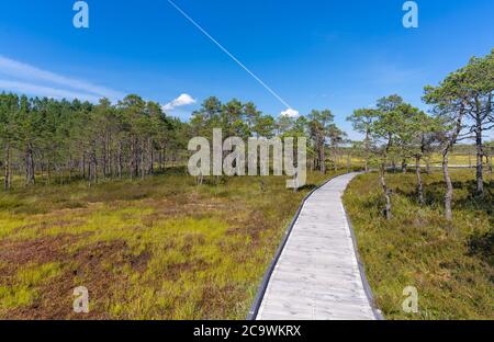 Riisa Bog Soomaa ("Moorland") Nationalpark in einem Feuchtgebiet in den Landkreisen Parnu und Viljandi, südwestlich von Estland. Stockfoto