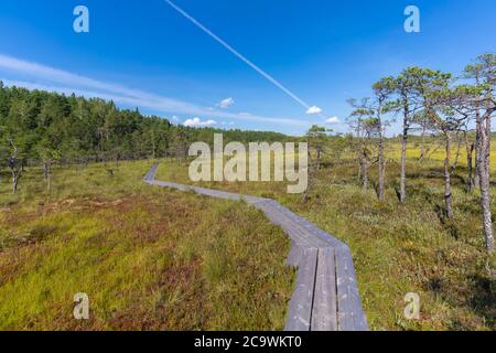 Riisa Bog Soomaa ("Moorland") Nationalpark in einem Feuchtgebiet in den Landkreisen Parnu und Viljandi, südwestlich von Estland. Stockfoto