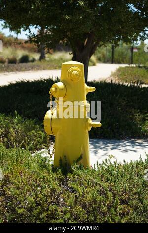 Gelber Hydrant in einem öffentlichen Park Stockfoto