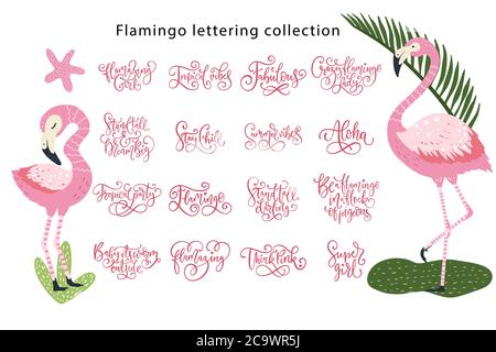 Sommer Schriftzug Flamingo girly Vektor-Set. Summertime Kalligraphie Zitat Sammlung. Perfekt für T-Shirt Prints - Aloha, Sommer, tropische Vibes, Super Girl, Stand hoch. Stock Vektor