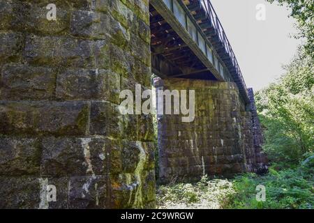 Luxulyan Valley 300720 Stockfoto