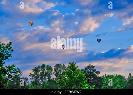 Drei Heißluftballons über Bäumen Stockfoto