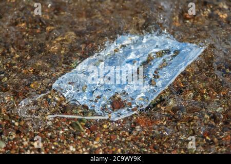 Nahaufnahme einer weggeworfenen gebrauchten Gesichtsmaske, die unter Wasser liegt. Blick durch die Welle. Stockfoto