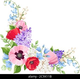 Vector Blumenecke mit roten, rosa, blau und lila Mohnblumen, lila Blumen und bluebells isoliert auf einem weißen Hintergrund. Stock Vektor