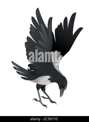 Raubvogel Erwachsene schwarz und grau Krähe Cartoon Tier Design Vögel der Beute Charakter flache Vektor-Illustration isoliert auf weiß Hintergrund Stock Vektor