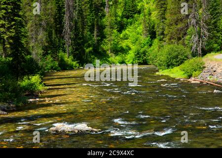 St. Joe Wild und Scenic River, St. Joe National Forest, St. Joe River Scenic Byway, Idaho Stockfoto