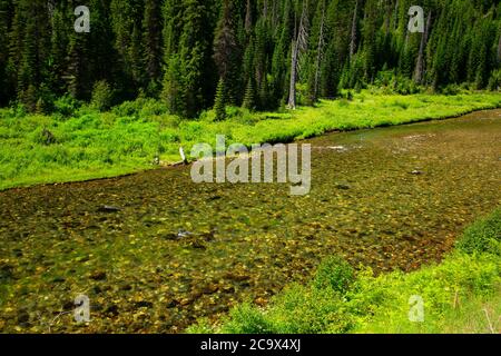 St. Joe Wild und Scenic River, St. Joe National Forest, St. Joe River Scenic Byway, Idaho Stockfoto