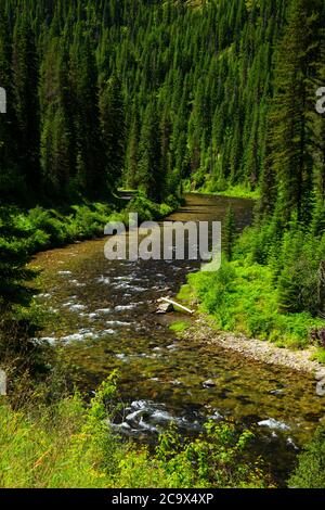 St. Joe Wild und Scenic River, St. Joe National Forest, St. Joe River Scenic Byway, Idaho Stockfoto