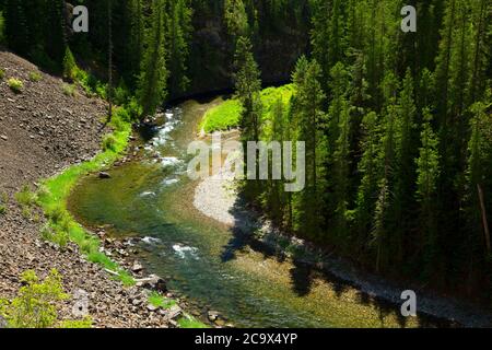 St. Joe Wild und Scenic River, St. Joe National Forest, St. Joe River Scenic Byway, Idaho Stockfoto