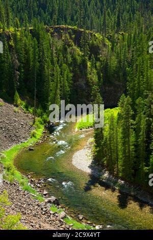 St. Joe Wild und Scenic River, St. Joe National Forest, St. Joe River Scenic Byway, Idaho Stockfoto