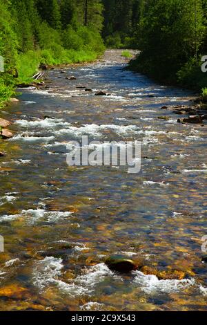 Marble Creek, St. Joe National Forest, Idaho Stockfoto