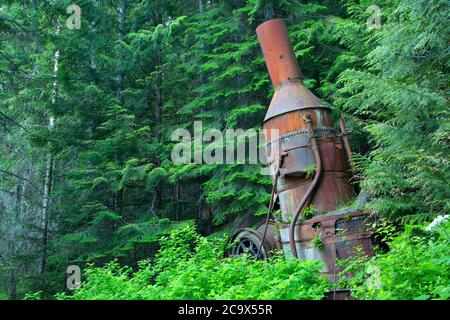 Dampfsauna auf dem Hobo Creek Historic Trail, St. Joe National Forest, Idaho Stockfoto