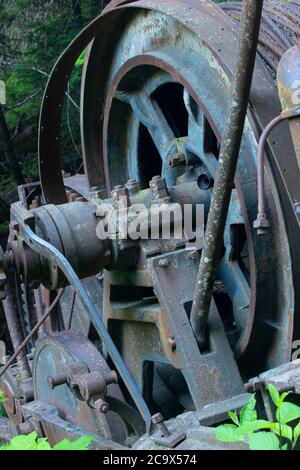 Fahren Sie mit der Eselswinde entlang des Hobo Creek Historic Trail, St. Joe National Forest, Idaho Stockfoto